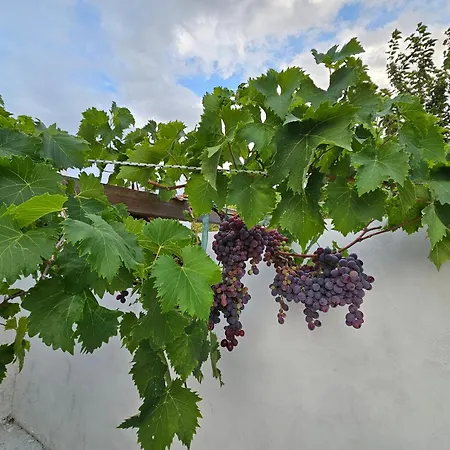 Holiday home Kosmarana Skopelos Realty